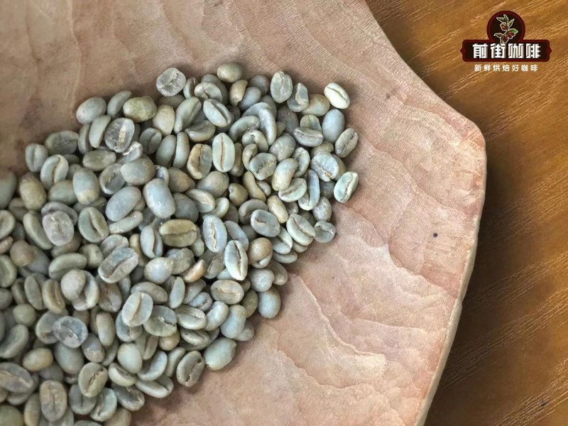 周末清晨站在咖啡架前发呆，摸透品种风味骨架轻松挑到心仪口粮豆