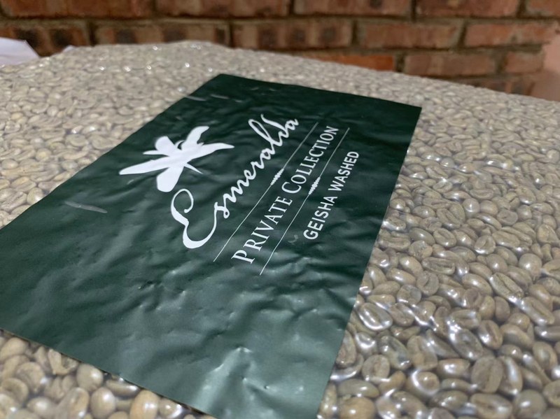 翡翠庄园绿标瑰夏手冲方案：一杯咖啡里的花香与茶感