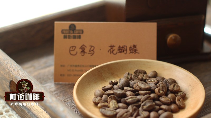 巴拿马波奎特瑰夏拼配咖啡豆手冲方案：花蝴蝶的日晒风味表达