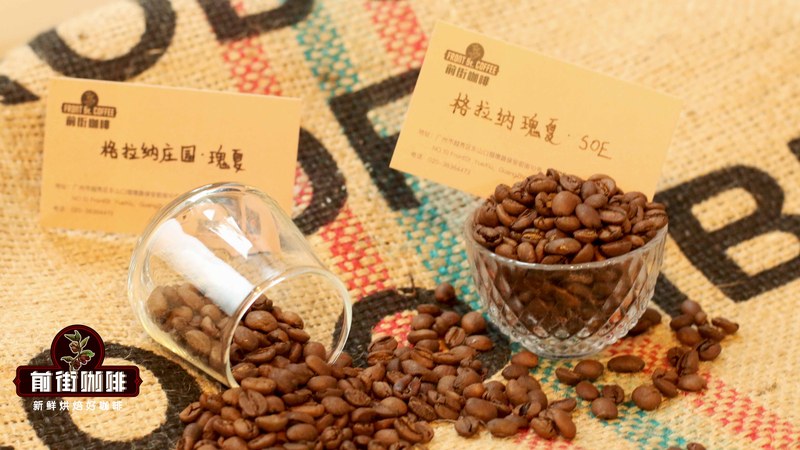 喜欢花香调咖啡的新手，在家选豆认准这两条线索