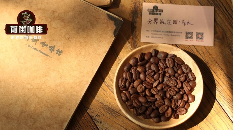 南美咖啡也能泡出花茶感，新手按处理法挑